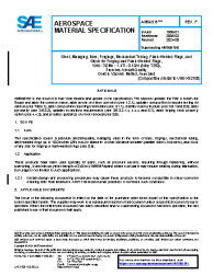 SAE AMS 6519F:2024-08-01