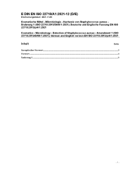 DIN EN ISO 22718/A1:2021-12