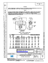 SAE AS 21906D:2017-06-28