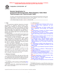 ASTM E2181/E2181M-06e1