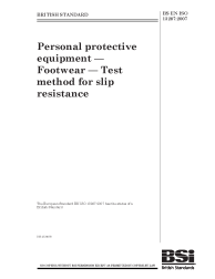 BS EN ISO 13287:2007