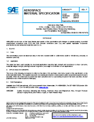 SAE AMS 4202F:2025-07-09