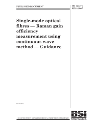 PD IEC/TR 62324:2007