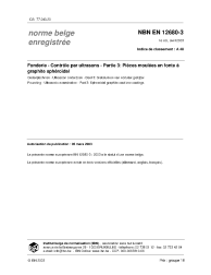 NBN EN 12680-3:2003