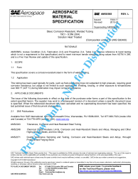SAE AMS 5565L:2013-07-08