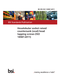 BS EN ISO 14587:2011