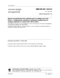 NBN EN ISO 15618-2:2002