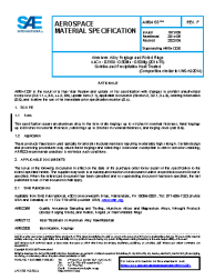 SAE AMS 4133F:2022-06-09