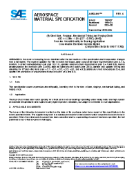 SAE AMS 6490K:2024-08-29
