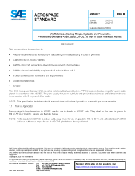SAE AS 5861B:2020-11-19