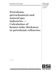 BS EN ISO 13704:2007