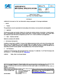 SAE AMS 2451/3C:2017-11-21