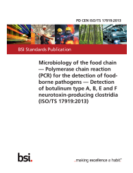 PD CEN ISO/TS 17919:2013