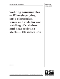 BS EN ISO 14343:2009