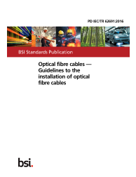 PD IEC/TR 62691:2016