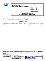 SAE AMS 3806G:2018-07-31