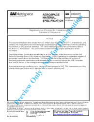 SAE AMS-M-3171:2018-02-25