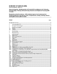 DIN EN 137:2025-03