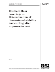 BS EN ISO 23999:2012