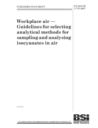 PD ISO/TR 17737:2007