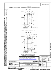 SAE AS 5039:2013-01-07