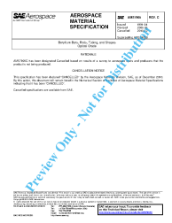 SAE AMS 7905C:2010-12-02