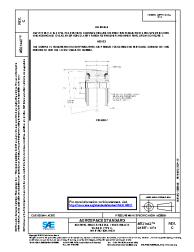 SAE AS 21442C:2024-12-03