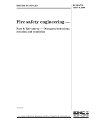 BS ISO/TR 13387-8:1999