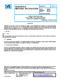 SAE AMS 4207D:2024-06-10