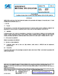 SAE AMS 2431/8D:2024-07-25