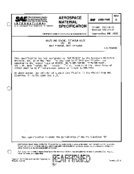 SAE AMS 7460E:1995-05-01