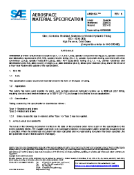 SAE AMS 5566N:2021-10-22