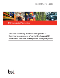 PD IEC TS 61934:2024