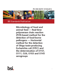 PD CEN ISO/TS 13136:2012