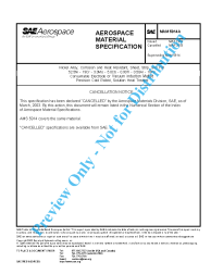 SAE MAM 5914A:2003-03-12