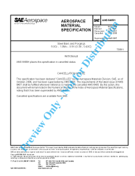 SAE AMS 6485H:2006-10-30