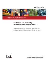 BS 476-10:2009