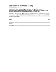 DIN EN ISO 18415/A1:2021-12