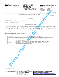 SAE AMS-QQ-A-250/13A:2011-07-22