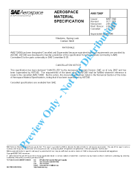 SAE AMS 7240F:2007-07-19