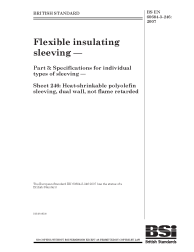 BS EN 60684-3-246:2007