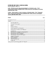DIN EN ISO 5403-1:2025-02