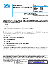 SAE AMS 4181D:2022-05-19