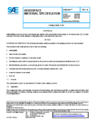 SAE AMS 2485M:2024-09-09