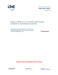 UNE-EN 10107:2023
