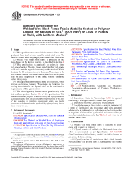 ASTM F2453/F2453M-05