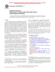 ASTM E2905/E2905M-13