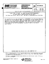 SAE AMS 3845/2B:1992-01-01