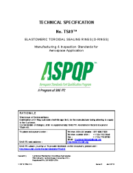 SAE TS 49-3:2019-01-01