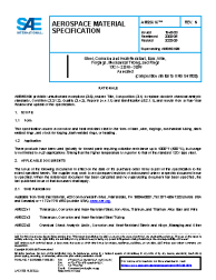 SAE AMS 5616N:2020-05-06